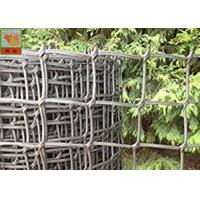 China Garden Mesh Netting for Climbing Plant Support Hole Open 19 mm 0.5 Meters Wide factory