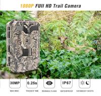 China 2.4 Inch Screen HD Hunting Cameras IR LED Full HD 1080P Trail Hunting Camera factory