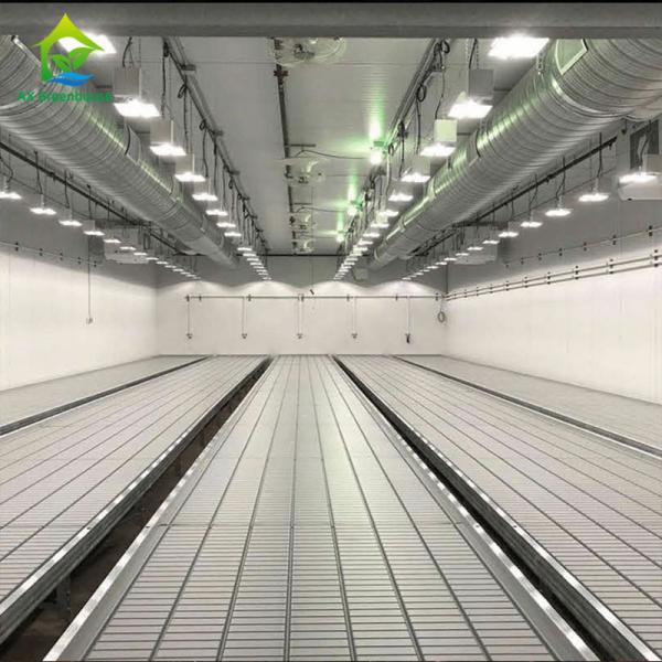 Quality Multispan 28m-50m Length Light Deprivation Greenhouse With Blackout System for sale
