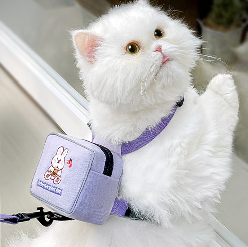 China Print Mesh Cat Harness Backpack Leash Set Detachable Puppy Harness Pet Travel Hiking factory