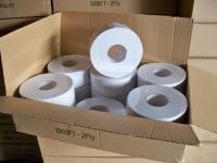 China Unbleached Biodegradable Virgin Wood Pulp two ply toilet paper factory