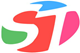 China Shengtong Plastic Co.,Ltd. logo