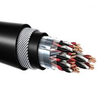 China Customized Color Flexible Belden Twisted Pair Shielded Cable For Power System for sale