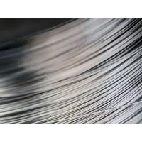 China Food Grade 0.3mm 302 Spring Wire Industrial Stainless Steel Jewelry Wire factory