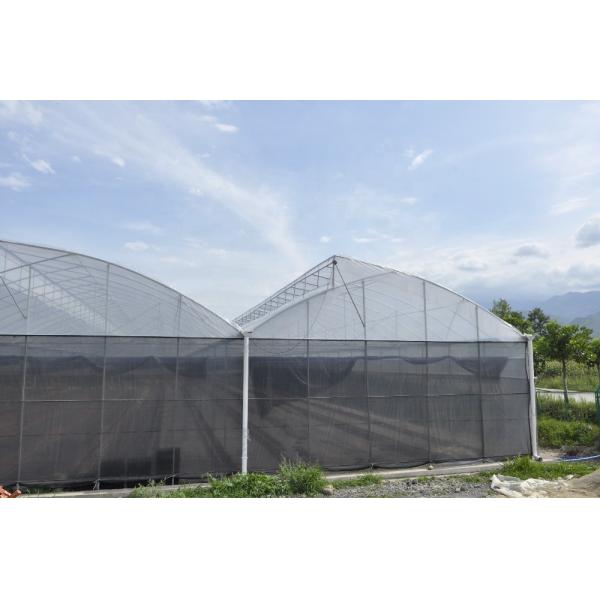 Quality Agricultural Tomatoes Saw Tooth Greenhouse 8-12m Span Polyethylene Film Greenhouse for sale