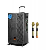 Quality Portable Trolley Speaker for sale