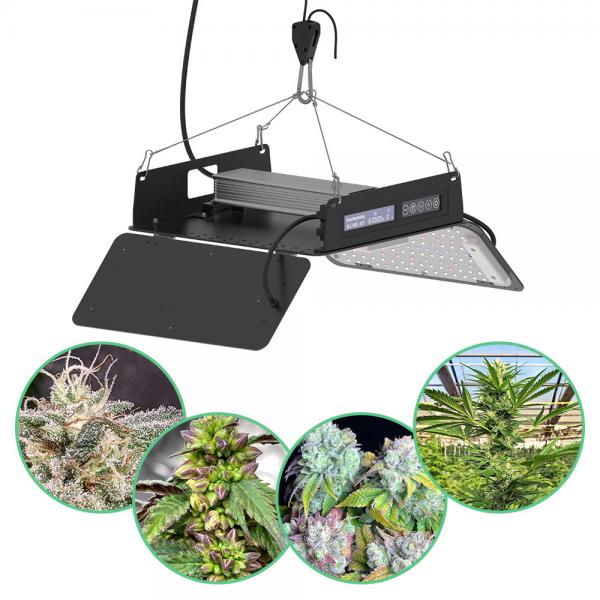 Quality 240Watt Full Spectrum LED Grow Light Panel Cannabis Growing Dimmable Foldable for sale