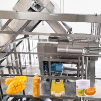 china Automatic 10T/H Mango Processing Plant 440V Puree Processing Line