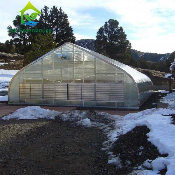 Quality 9.6m Width Peach Type Roof PC Sheet Greenhouse Hot Galvanized Pipe Greenhouse for sale