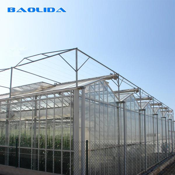 Quality Multi Span PC Sheet Greenhouse Polycarbonate Covering Plant Growth Support for sale