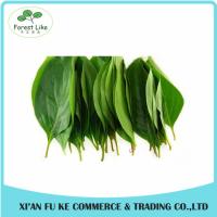 China Natural Persimmon Leaf Extract Powder 10:1 20:1 factory