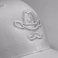 China Cotton 22inch Custom Printed Baseball Caps Pre Curved Brim Fashionable Design factory