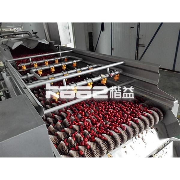 Quality Turnkey Dates Processing Machinery Palm Dates Sorting Drying Washing Dates for sale