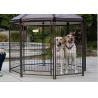 China Professional Grade Modular Dog Kennels , Outside Dog Kennels For Large Dogs factory