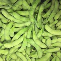 China 4cm Length Frozen Edamame Pods IQF Whole Food Plant Based A Grade factory