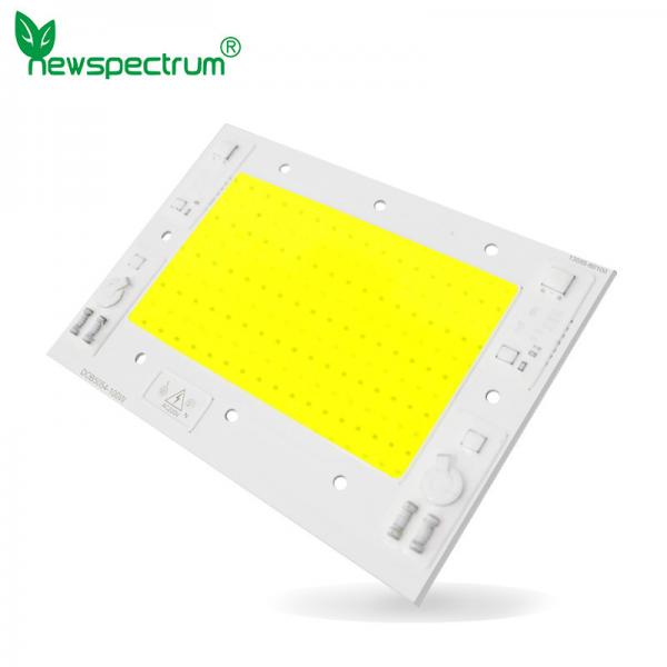 Quality 240V Dimming Cob LED Chip 6000K With AC100-240V Voltage 50000hrs Lifespan for sale