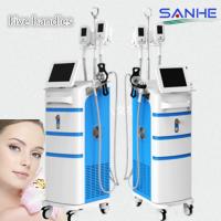 China Gold search keyword cryolipolysis beauty machine for cellulite factory