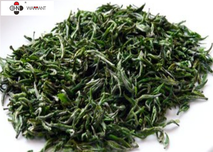 China 20% Polyphenols Green Tea Leaf Extract factory