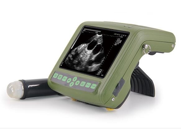 Quality LCD Screen Veterinary Ultrasound Scanner For Bovine Equine Ovine Canine Feline for sale