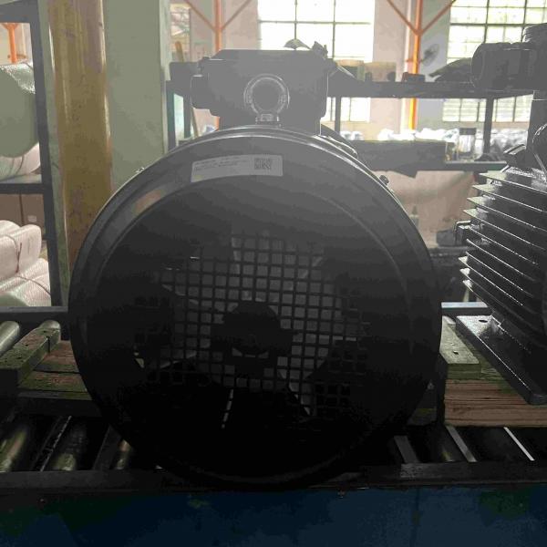 Quality High Voltage Induction 3 Phase Electric Motor Waterproof High Efficiency For for sale