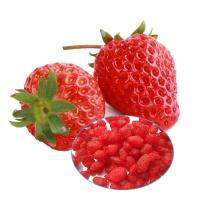 China Highly Nutritional Dried Fruit Snacks , Freeze Dried Strawberries No Sugar Added factory