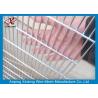 China Professional Hot Dipped Galvanized Welded Mesh Security Fencing For Protection 2.0m Height factory
