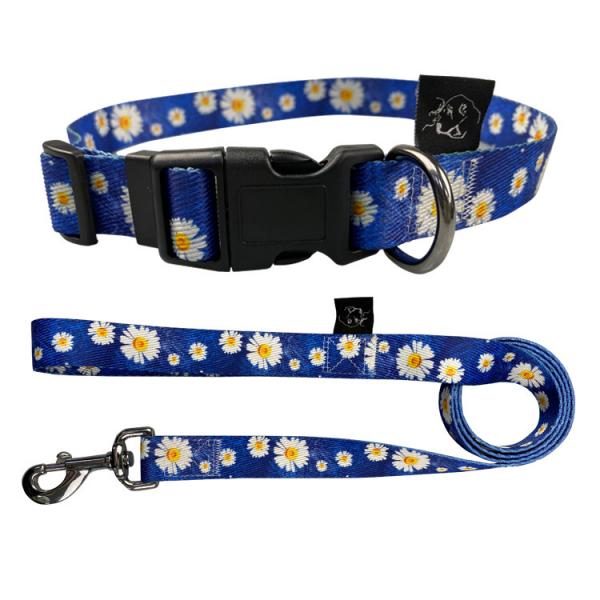 Quality Adjustable Flower Design Dog Puppy Collar And Lead Leash Set In 2 Colours for sale