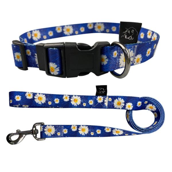 Quality Small Medium Large Classic Dog Collar With Quick Release Buckle for sale