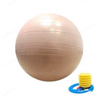 China 55cm 65cm 75cm PVC Custom Exercise Gym Yoga Ball With Air Pump factory