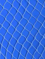 China Blue Anti Bird Plant Protection Netting Hdpe Frost Netting Covers With UV factory