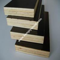 China Phenolic film faced plywood board price/ structural plywood/ film faced shuttering plywood factory