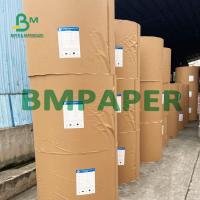China 260g And 18g PE Coated Food Grade Paper Cup Stock For Making Cups factory