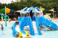 China Kids Water Park Equipment 8000x8000mm Fiberglass Water Slide factory