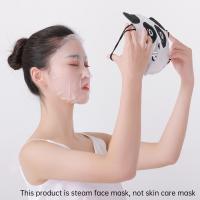 China Iron Powder Steam Face Mask Disposable hydrating face masks factory
