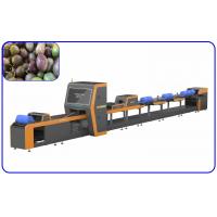 China Sophisticated Simple Passion Fruit Sorting Machine 7.55W 1 Channel Intelligent factory