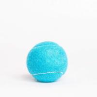 China Eco Friendly Puppy Dog Tough Chew Toys , Durable Pet Tennis Balls For Dogs factory