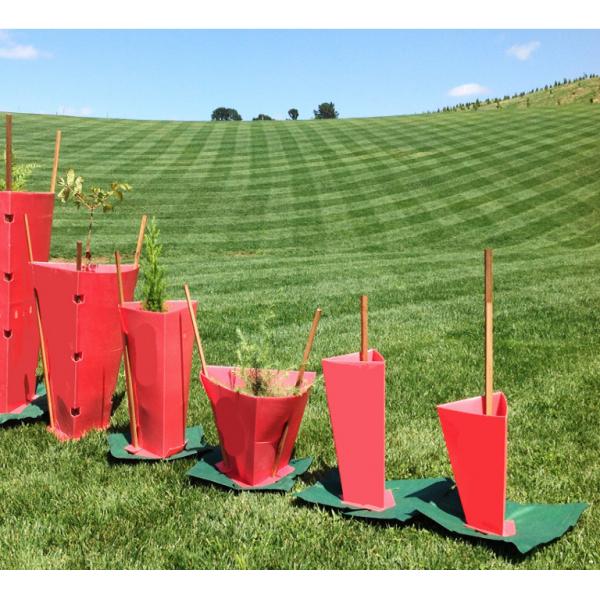 Quality Red 100% PE Corflute Plastic Tree Guards UV Resistant 2mm-12mm for sale