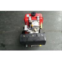 Quality Small Diesel Engine for sale