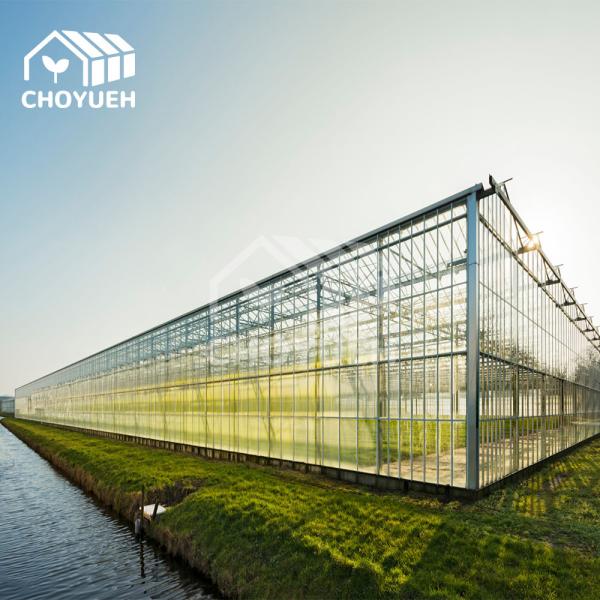 Quality UV Protection Transparent Glass Covered Greenhouse Thickness 8mm for sale