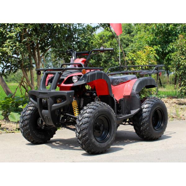 Quality Large Air Cooled 10" Rim 4 Stroke 200c Four Wheel Atv Manual Clutch for sale