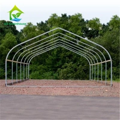 Quality 26ft Width Single Span Pipe Framed Greenhouse Anti UV Film High Tunnel for sale