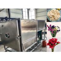 China Custom Vegetable Freeze Dryer With Automatic Operation Mode factory