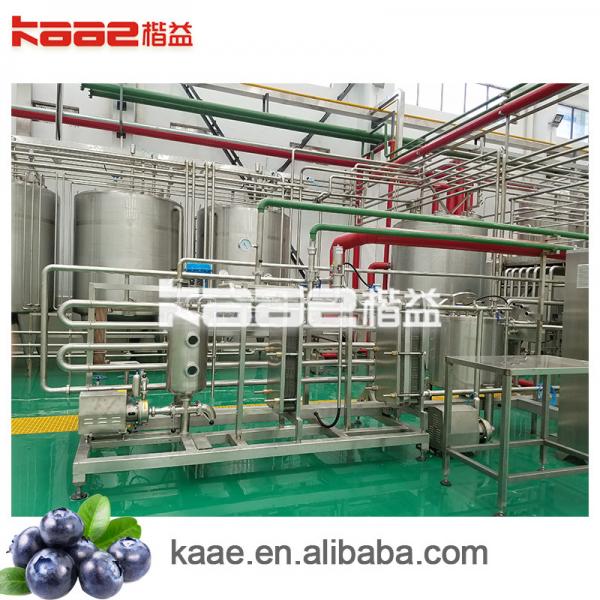 Quality Turnkey SUS304 Bayberry Berry Juicer Machine Fruit Juice Equipment ISO9001 for sale
