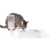 China Professional Automatic Isolated Strake Spill Proof Dog Bowl 2 bowl dog feeder factory