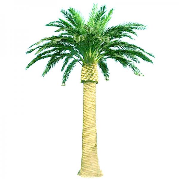Quality 15m 35m Camouflaged Cell Towers Artificial Palm Tree Antenna Towers for sale