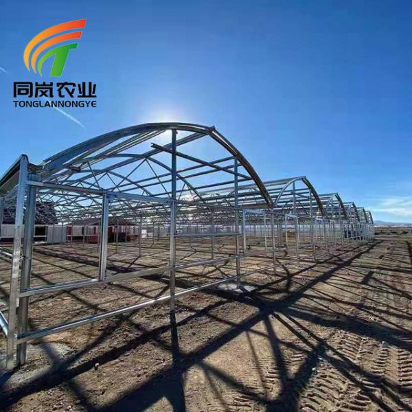 China Agriculture Multi Span Plastic Film Greenhouse With Irrigation And Hydroponic Equipment for sale