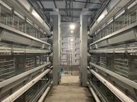China Automatic Battery Chicken Battery Cages H Type And A Type Saving Feed factory