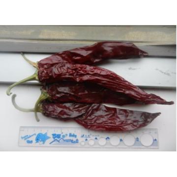 Quality 400SHU Non Spicy Dried Chiles Stemless Mild Flavor Sweet Paprika for sale