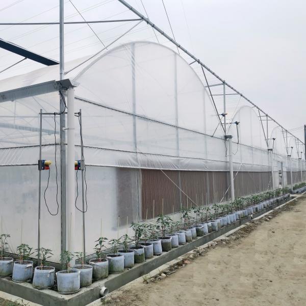Quality Hydroponic Growing Systems Greenhouse Low Cost Greenhouse Agriculture Plastic for sale