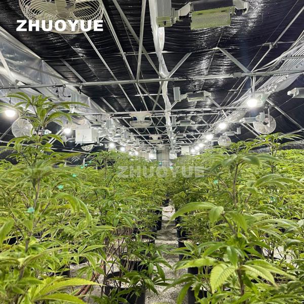Quality Automatic Light Deprivation Greenhouse For Large Scale Cultivation With Humidity Control for sale